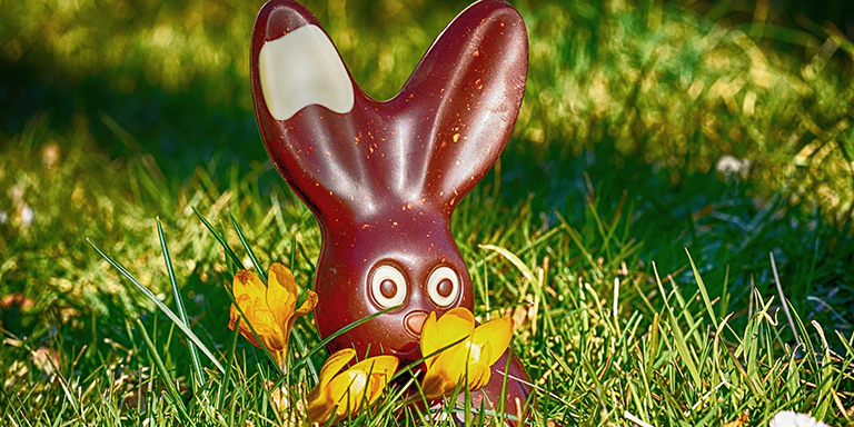 Milk chocolate easter bunny in the grass