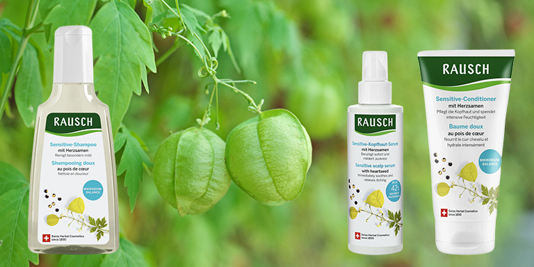 Heartseed Plant and Three Certified Products for an Irritated Highly Sensitive Scalp